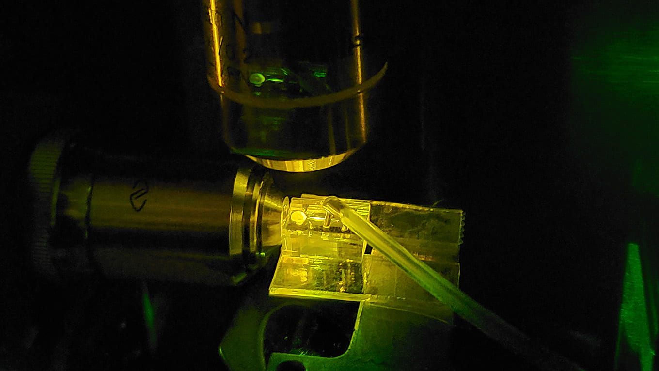 on-chip laser