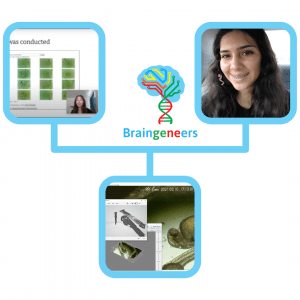 Braingeneers logo with three different images from the research collaboration