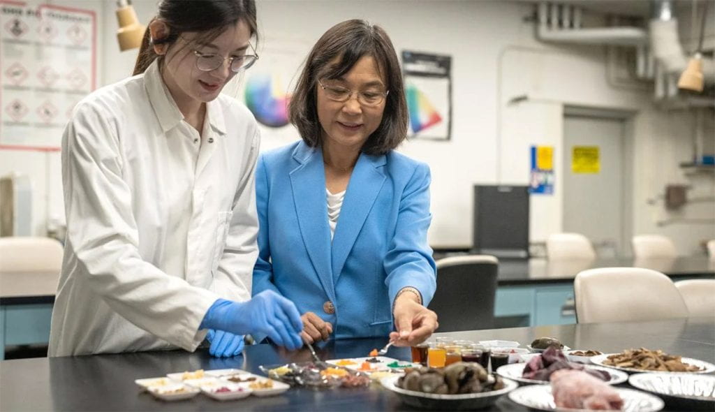 Researchers at UC Davis have created small balls of edible fungi that can be processed into products like boba and lab-grown caviar. Pictured are biological and agricultural engineering doctoral student Lin Cao and project lead and Professor Ruihong Zhang, Department of Biological and Agricultural Engineering. (Jael Mackendorf/UC Davis)