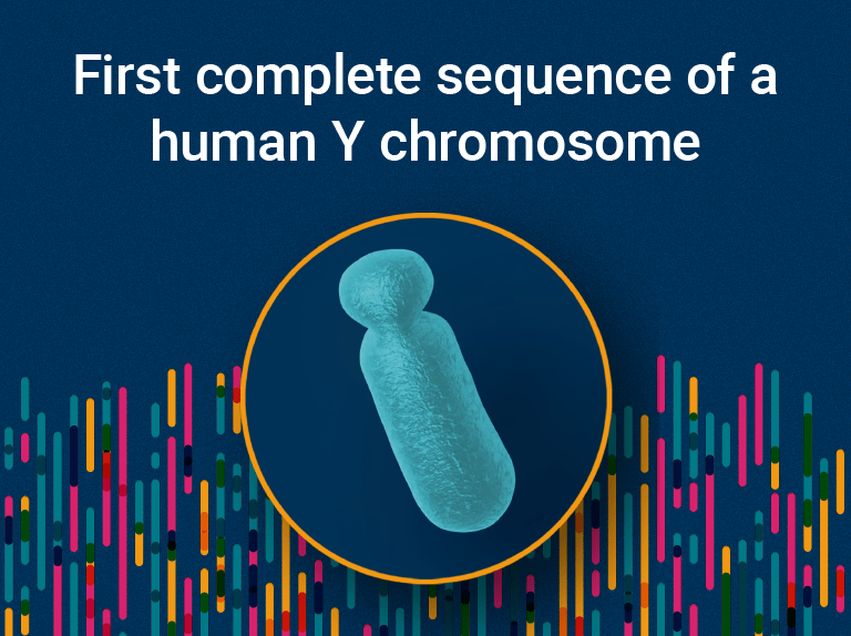 First complete sequence of a human Y chromosome