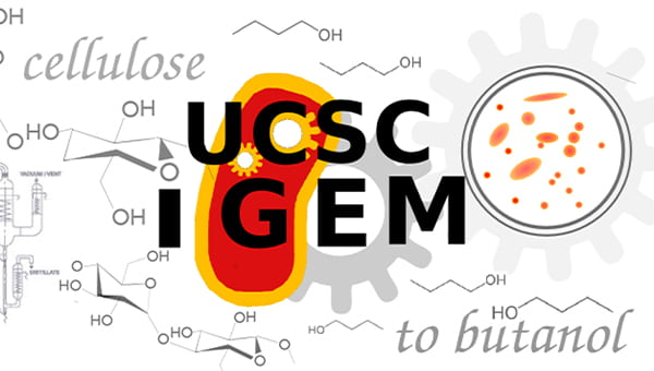 iGEM 2015 project Cellulose to Butanol